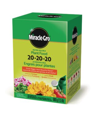 Wholesale Miracle-Gro Water Soluble Plant Food 20-20-20 (680g)