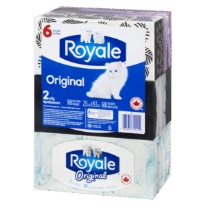 Wholesale Royale Facial Tissue 6Pack 2Ply (6x100S)