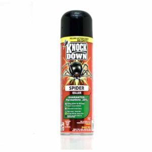 Wholesale Knock Down Spider Killer (439g)