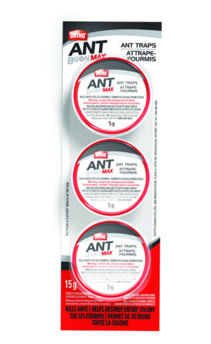 Wholesale Ortho Ant B Gon Max Ant Traps (3x5g)