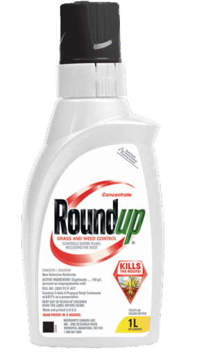 Wholesale Roundup Grass & Weed Control w/FA Foam (1L)