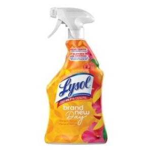 Wholesales Lysol All Purpo Brand New Day
Mango&Hibiscus (650ml)