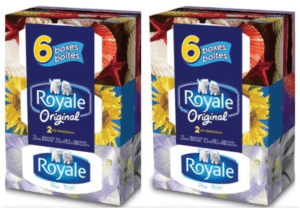 Wholesale Royale Facial Tissue 12Pack 2Ply DRP (12x126s)
