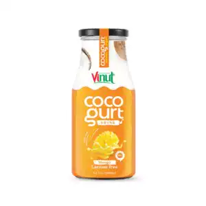 Wholesale Vinut Cocogurt Drink Mango (280ml)