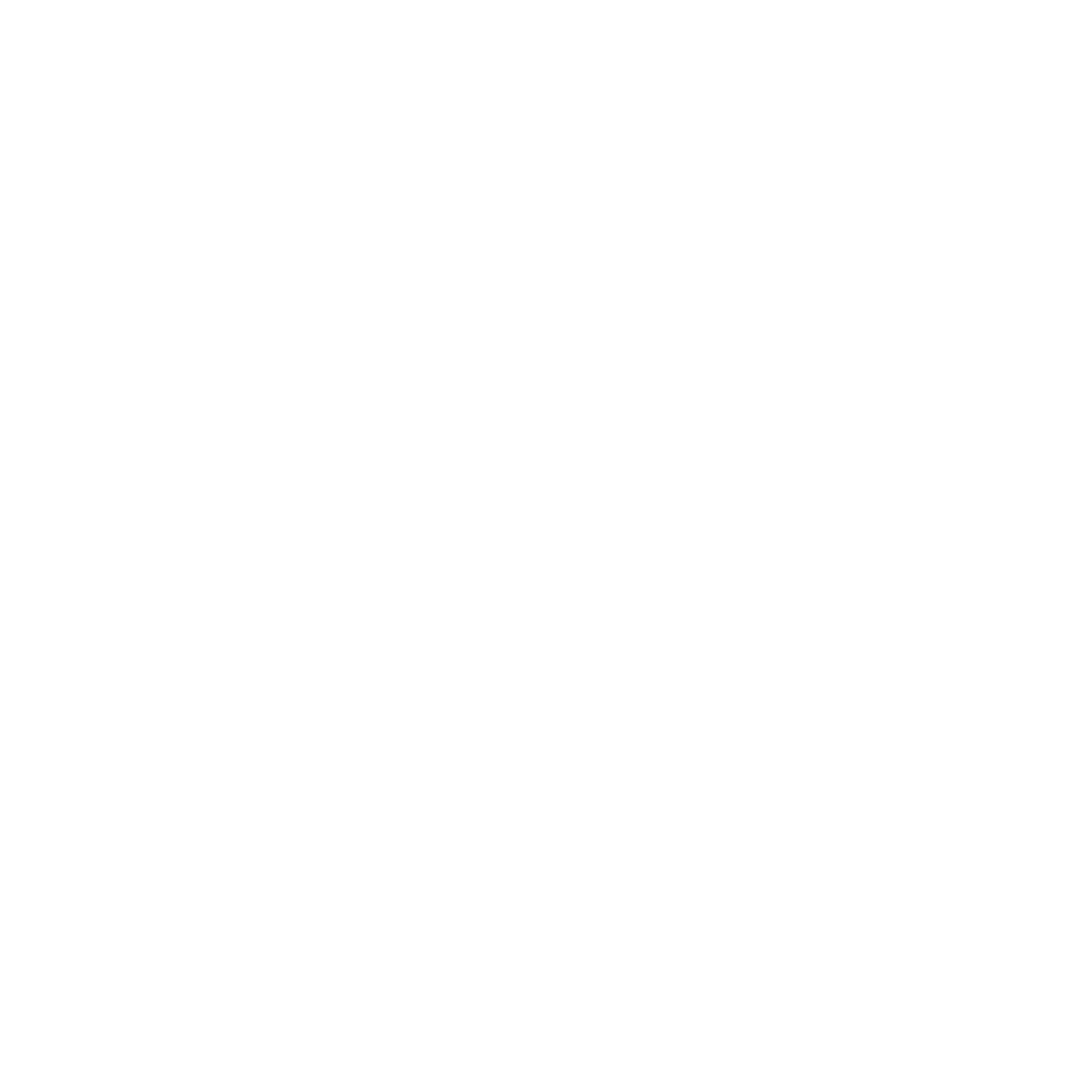 Hosting Essential icon